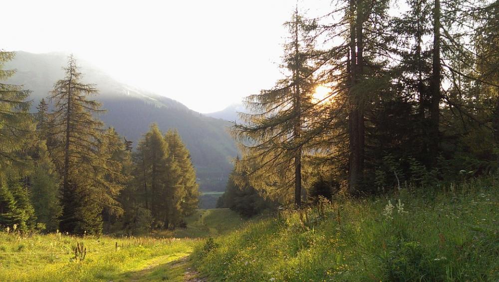 Nature Austria Styria Mountains Valley Woods Nature Austria Styria Mountains Valley Woods