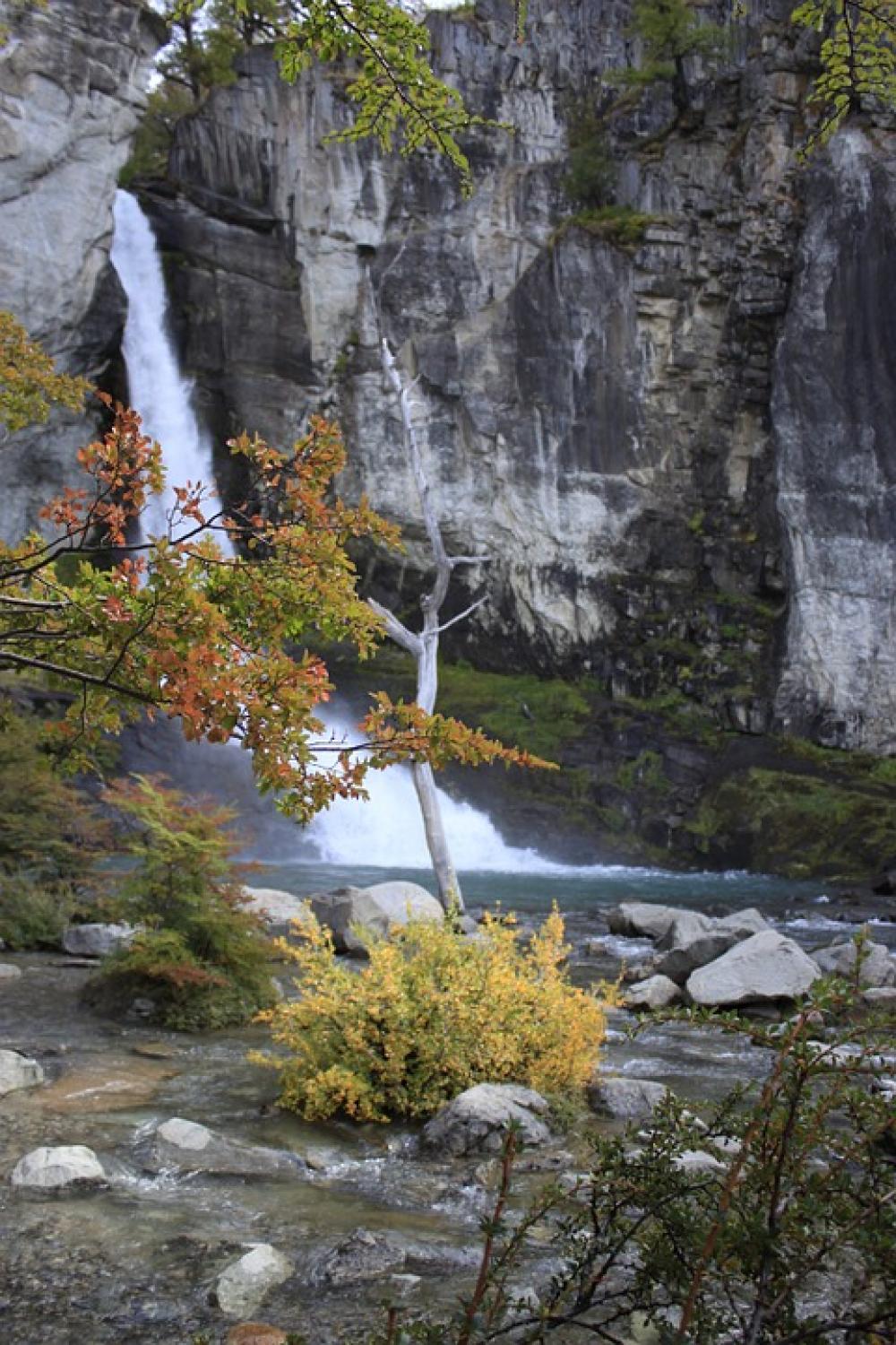 Nature Water Waterfall Vegetation Plant Nature Water Waterfall Vegetation Plant