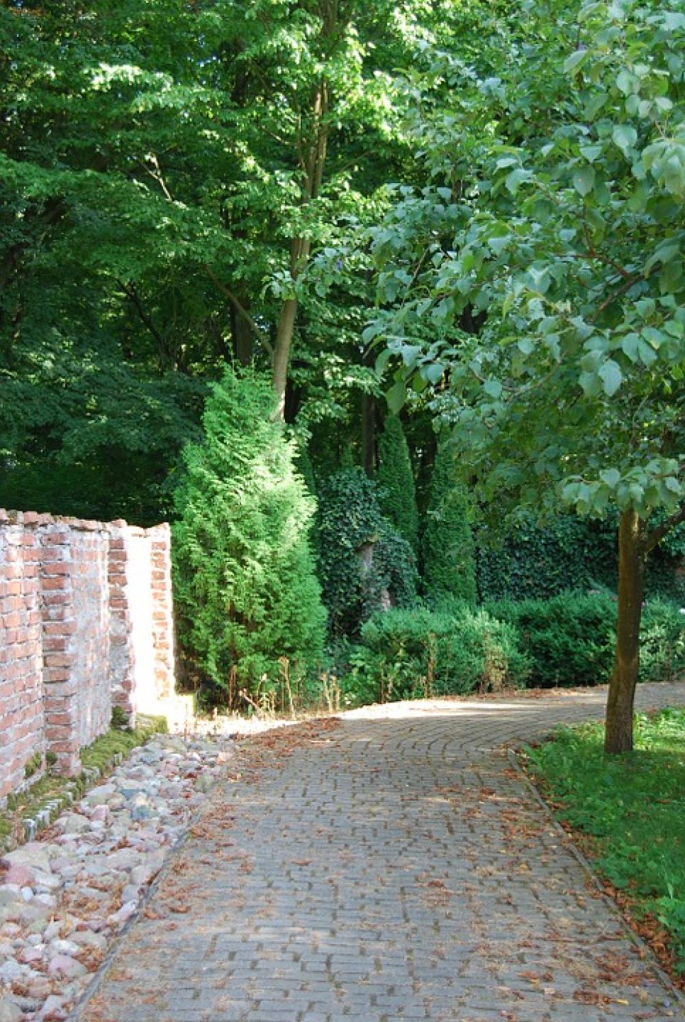Nature Garden Green Nature Garden Green