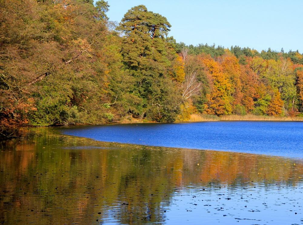 Nature Season Autumn Trees Lake Nature Season Autumn Trees Lake