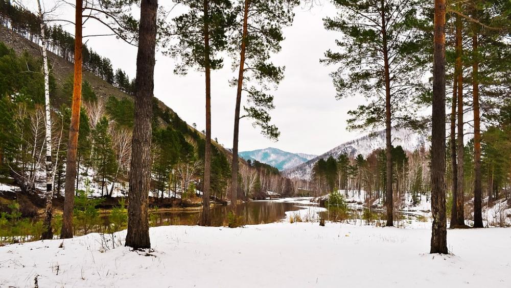 Nature Snow Trees Water Forest River Landscape Nature Snow Trees Water Forest River Landscape