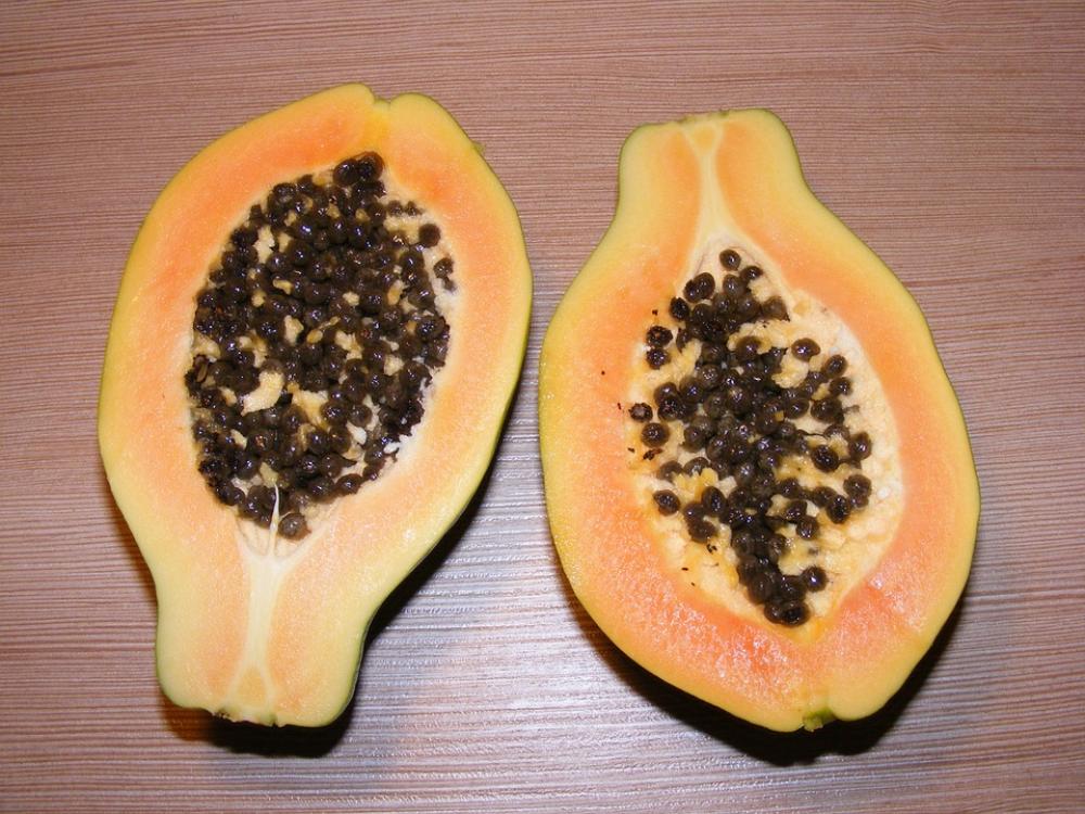 Nature Fruits Vegetables Exotic Fruit Papaya Nature Fruits Vegetables Exotic Fruit Papaya