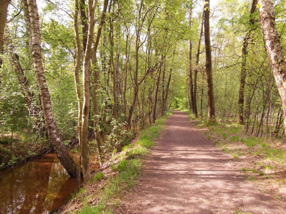 Nature Reserve Moor Forest Away Rarely Nature Reserve Moor Forest Away Rarely