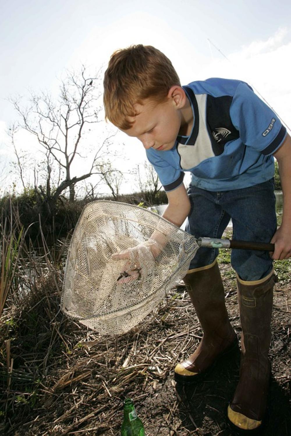 Net Fish Catches Boy Young Kids Children People Net Fish Catches Boy Young Kids Children People