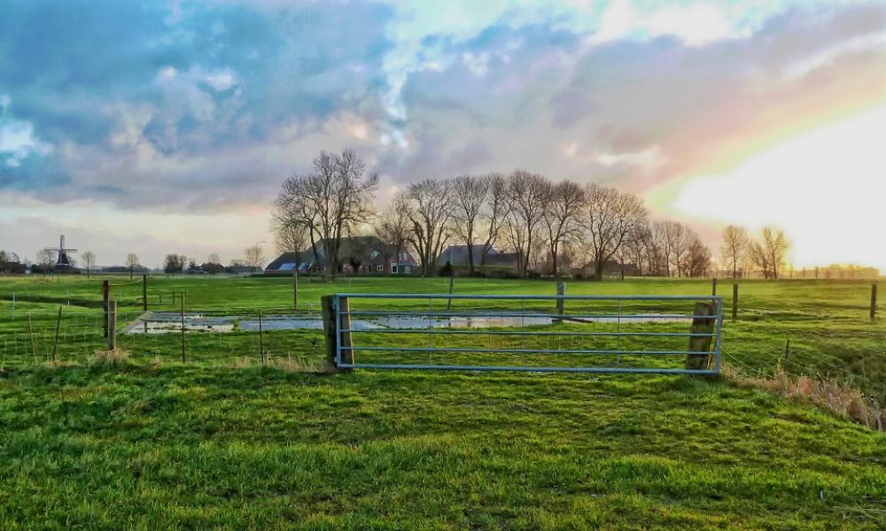 Netherlands Farm Rural Trees Field Pasture Meadow Netherlands Farm Rural Trees Field Pasture Meadow