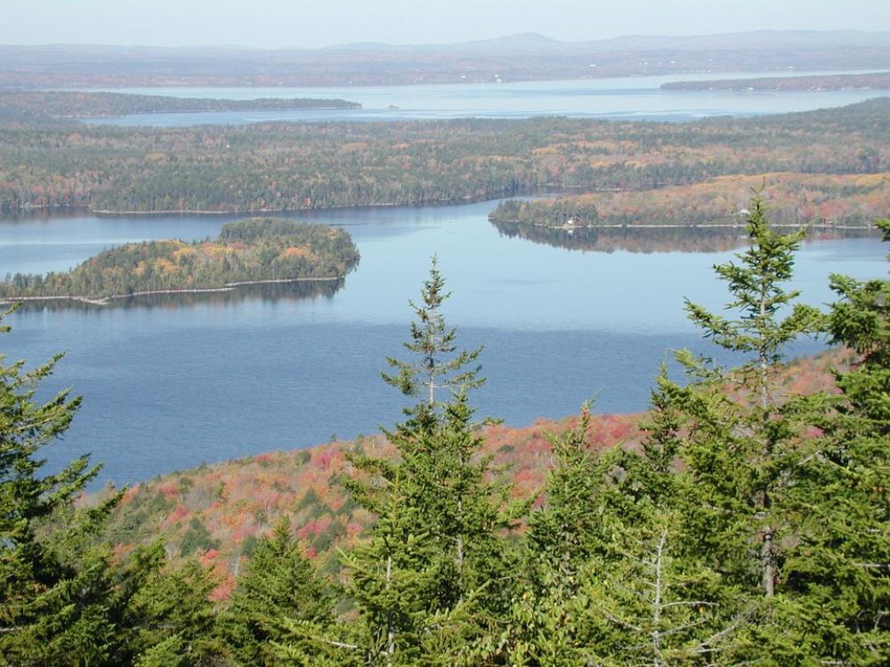 New England Trees Forest Pine Trees Woods Water New England Trees Forest Pine Trees Woods Water