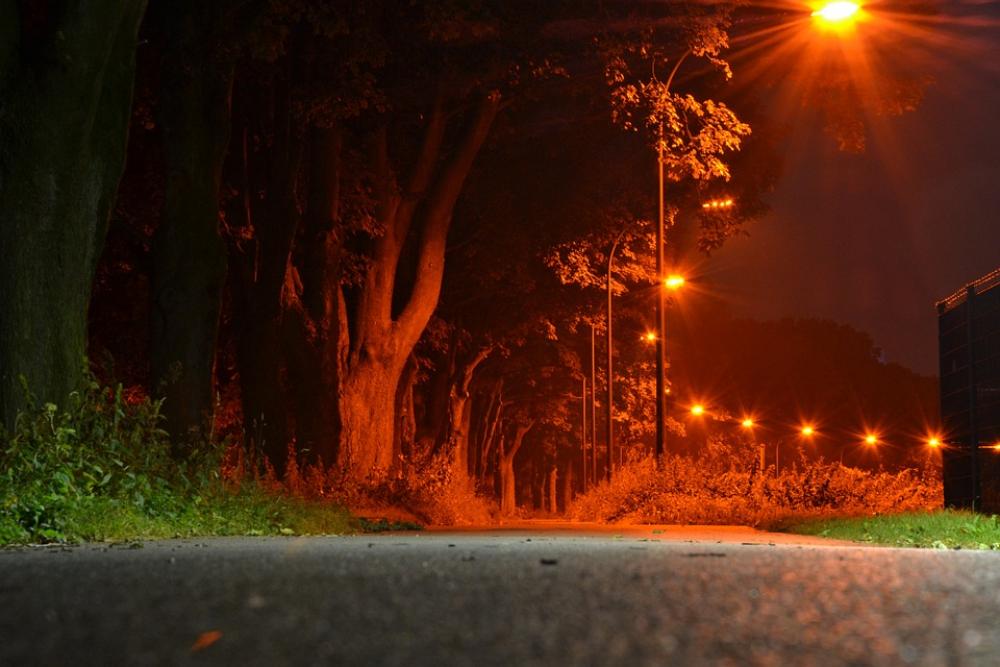 Night Away Avenue Long Exposure Nature Trees Night Away Avenue Long Exposure Nature Trees