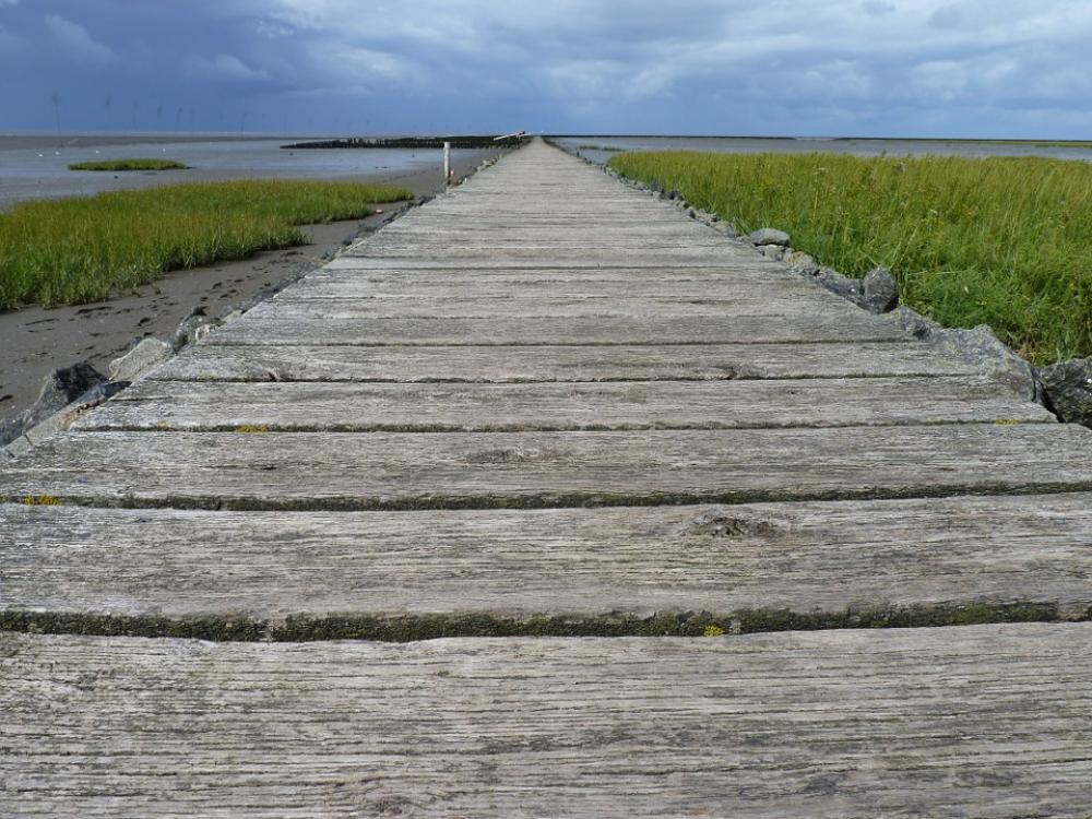 North Sea Web Wadden Sea Ebb Boards Lonely North Sea Web Wadden Sea Ebb Boards Lonely