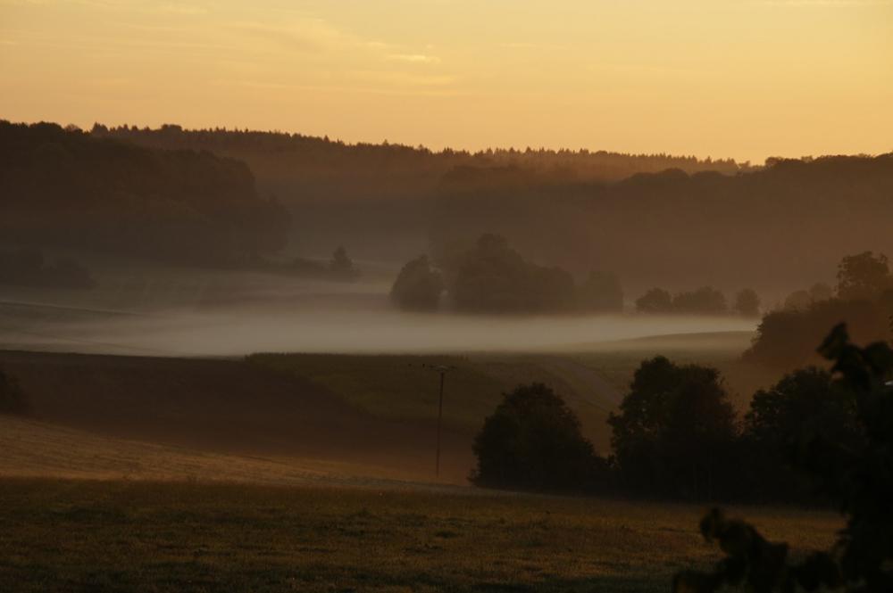 November Sunrise Fog Mood November Sunrise Fog Mood