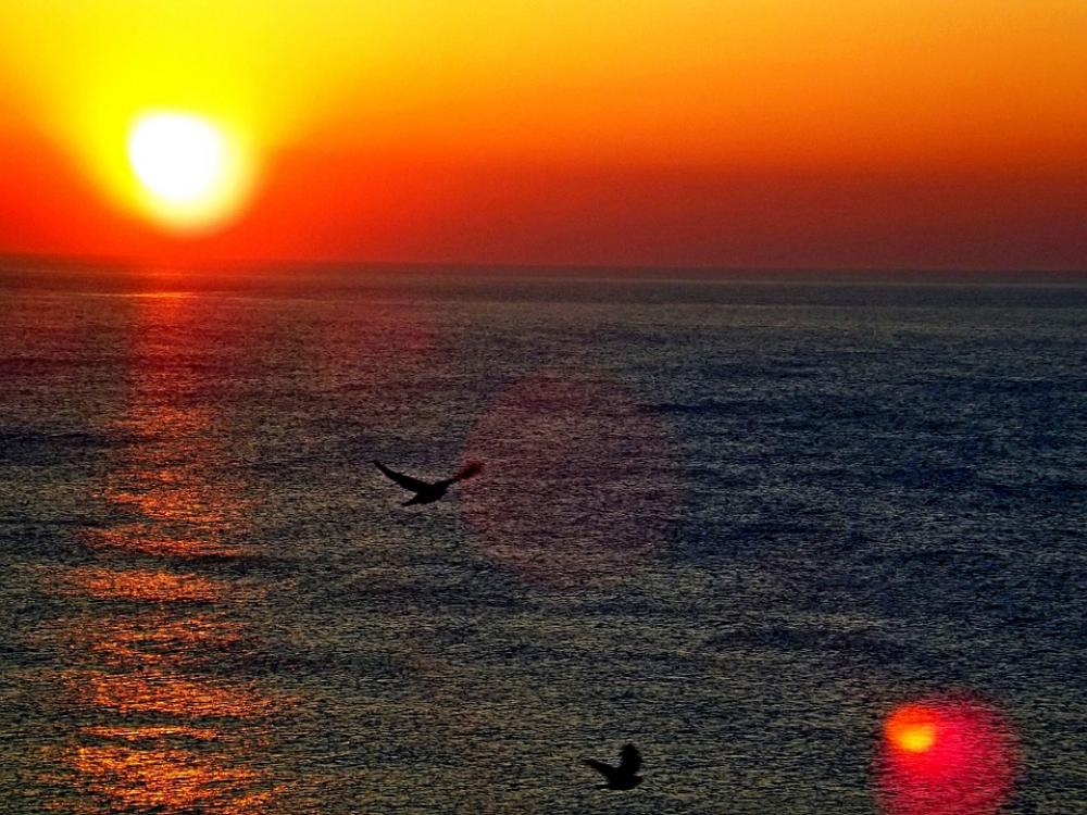 Ocean Sunrise Sea Water Nature Beach Sun Ocean Sunrise Sea Water Nature Beach Sun