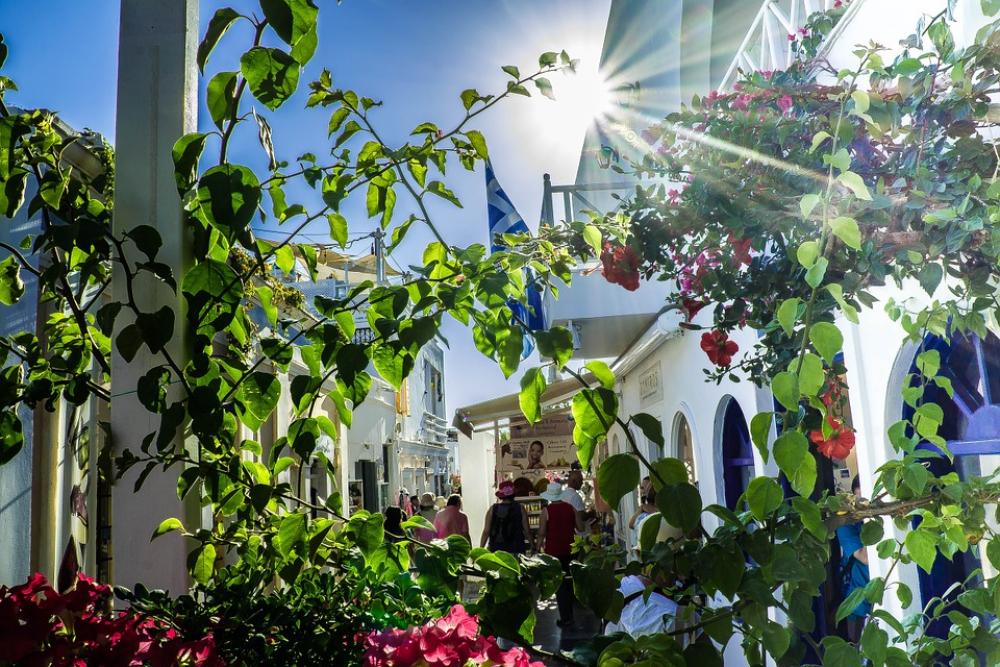 Oia Santorini Greece Flowers Sun Star Sky Oia Santorini Greece Flowers Sun Star Sky