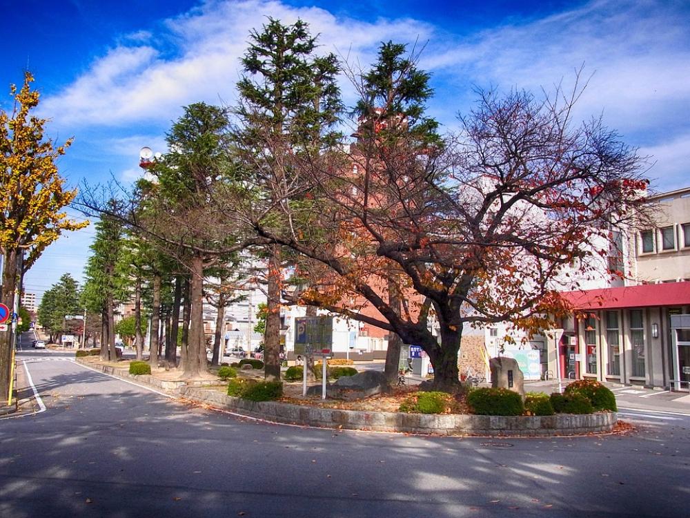 Okazaki Japan City Street Trees Outside Fall Okazaki Japan City Street Trees Outside Fall