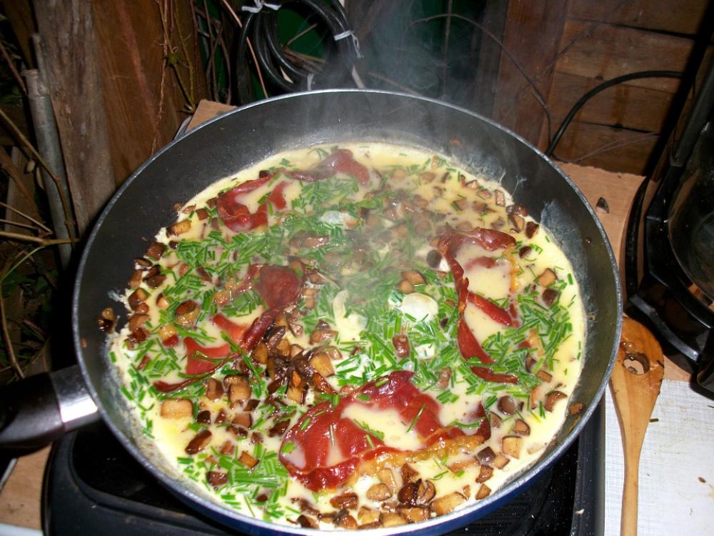 Omelette Mushroom Omelette Mushroom Skillet Court Omelette Mushroom Omelette Mushroom Skillet Court