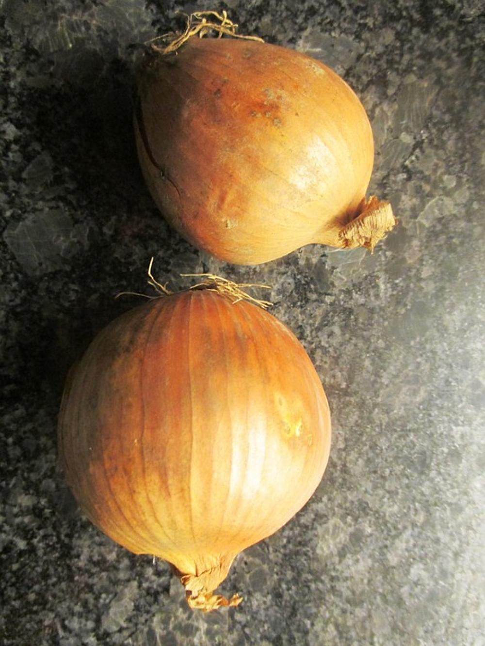 Onions Vegetables Spice Ingredient Cook Eat Onions Vegetables Spice Ingredient Cook Eat