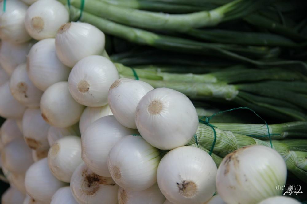 Onions Vegetable Green White Nature Power Healthy Onions Vegetable Green White Nature Power Healthy