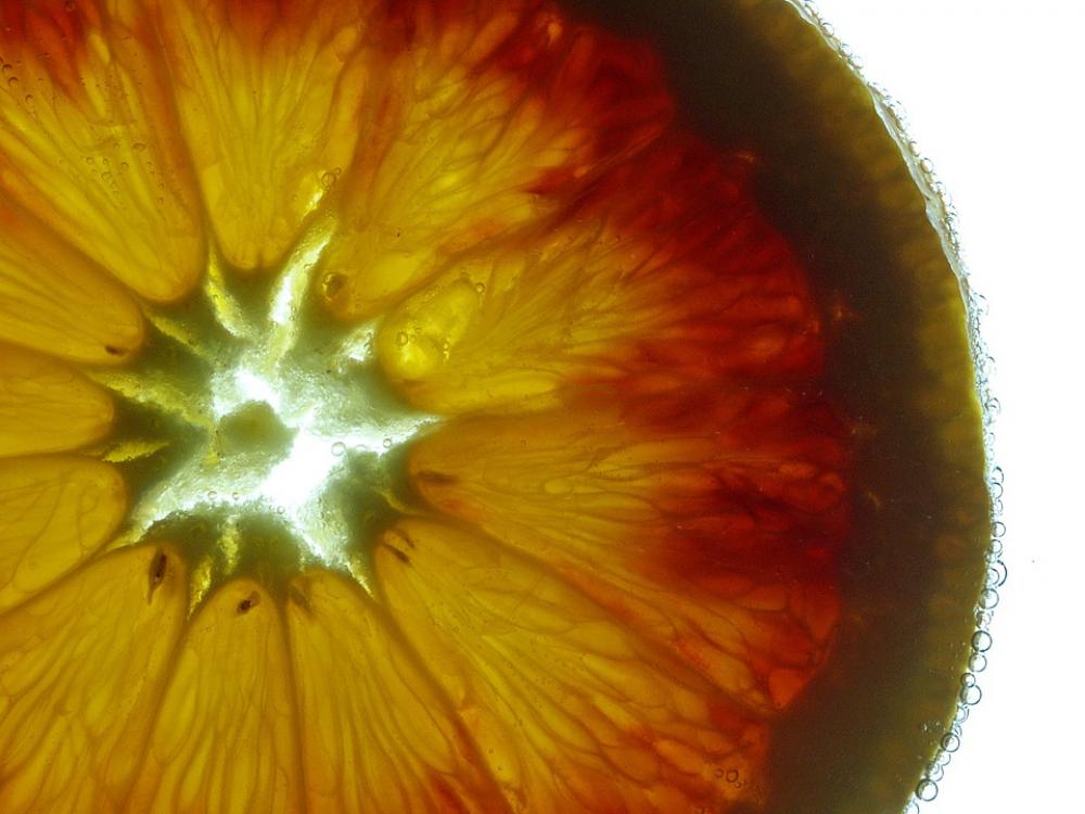 Orange Fruit Juicy Citrus Fruits Disc Food Drip Orange Fruit Juicy Citrus Fruits Disc Food Drip