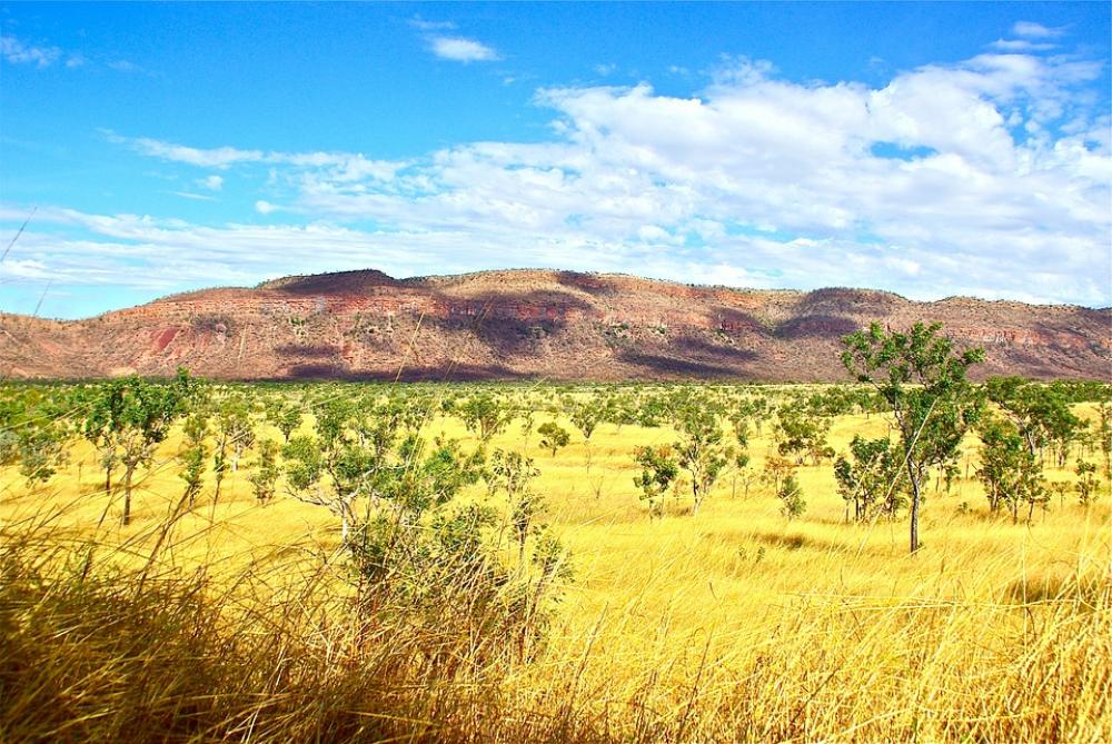 Outback Australia Rural Aussie Environment Bush Outback Australia Rural Aussie Environment Bush