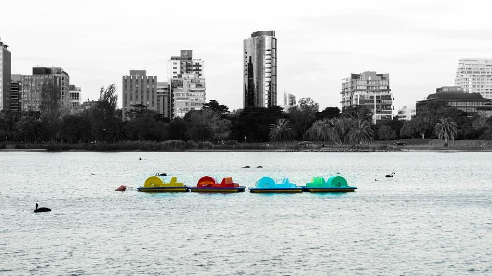 Paddle Boats Lake Paddle Boat Paddle Boat City Paddle Boats Lake Paddle Boat Paddle Boat City