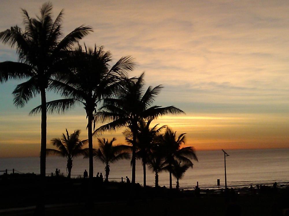 Palm Trees Palm Tree Ocean Summer Sunset Palm Trees Palm Tree Ocean Summer Sunset