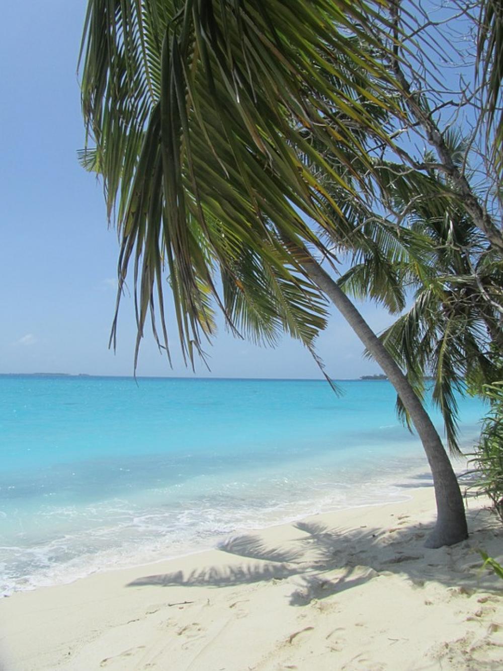 Palm Beach Sea Palm Beach Sea
