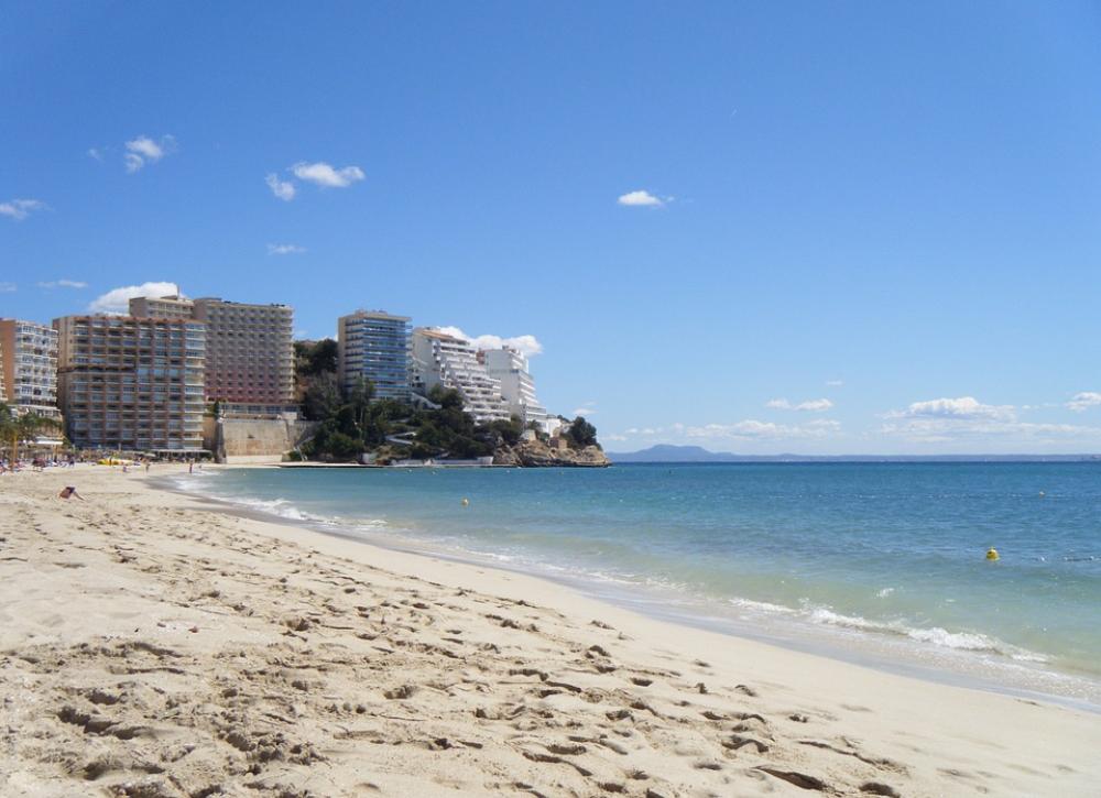 Palm Trees Palma Beach Sand Sea Holiday Water Palm Trees Palma Beach Sand Sea Holiday Water