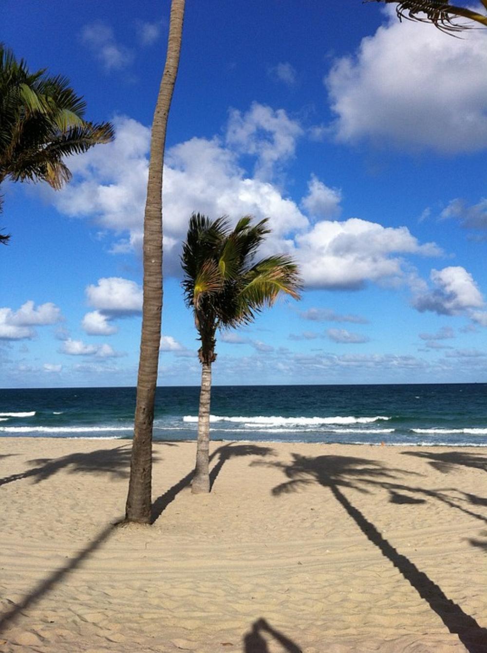 Palms Beach Sand Sky Ocean Clouds Florida Palms Beach Sand Sky Ocean Clouds Florida