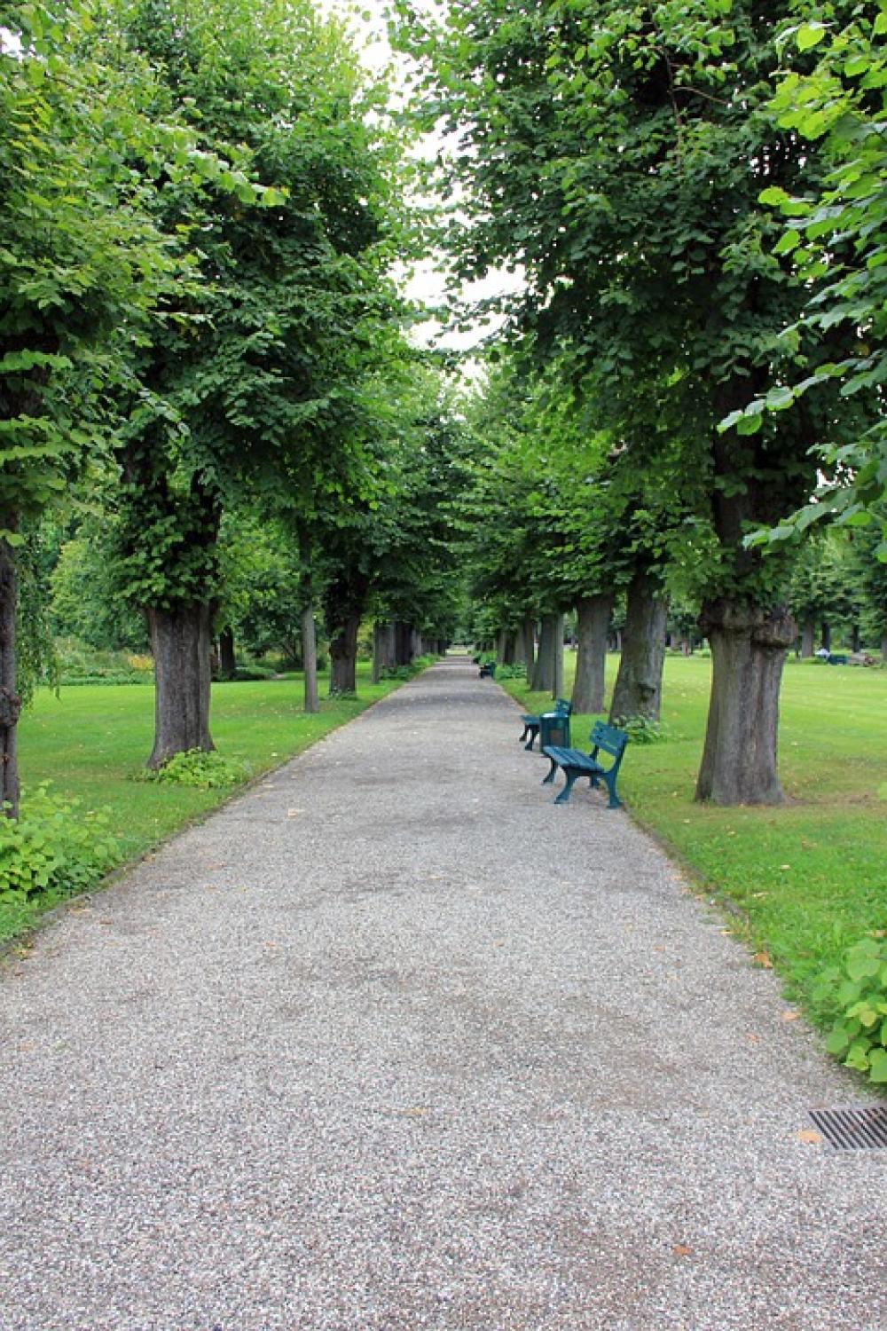 Park Away Bank Avenue Tree Trees Park Away Bank Avenue Tree Trees