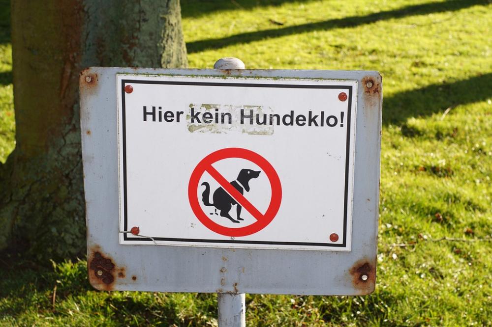 Park Tree Rush Prohibitory Park Tree Rush Prohibitory