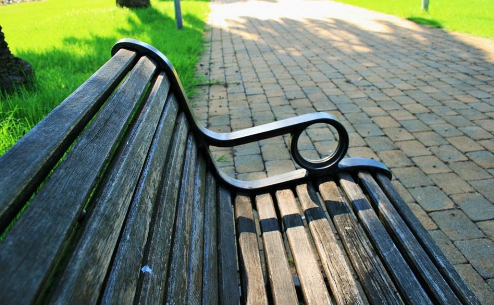 Park Green Path Paving Bench Wooden Rest Park Green Path Paving Bench Wooden Rest