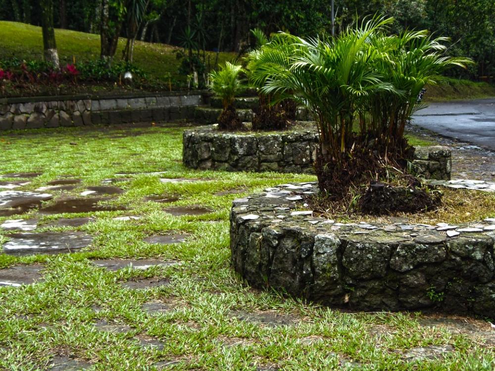 Park El Salvador Trees Plaza Nature Rest Park El Salvador Trees Plaza Nature Rest