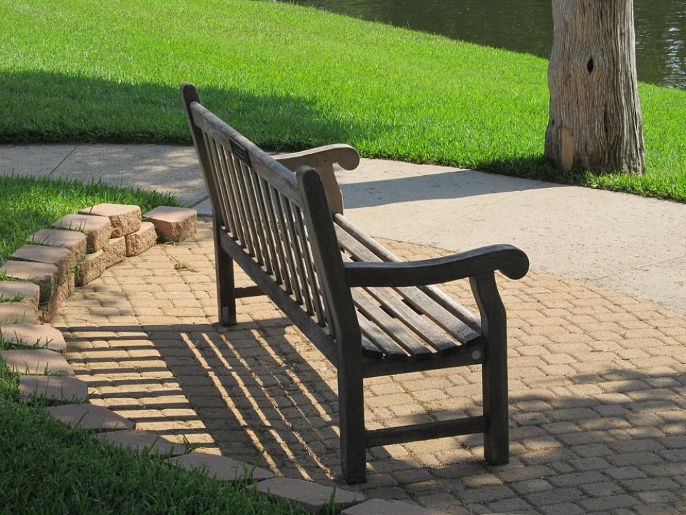 Park Bench Bench Park Seat Outdoor Grass Water Park Bench Bench Park Seat Outdoor Grass Water