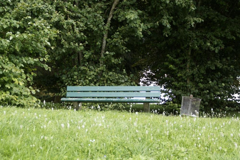 Park Bench Bank Tranquility Base Walk Go For A Walk Park Bench Bank Tranquility Base Walk Go For A Walk