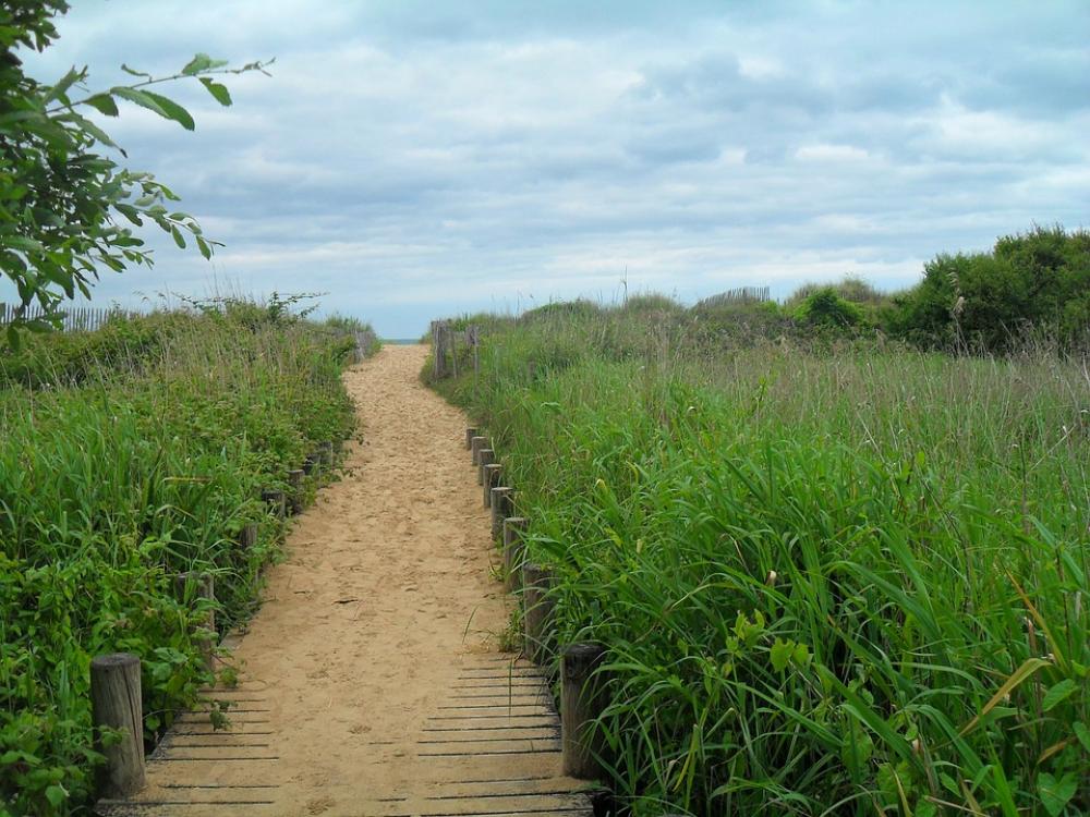 Path Nature Outdoor Grass Hike Trail Scenic Path Nature Outdoor Grass Hike Trail Scenic