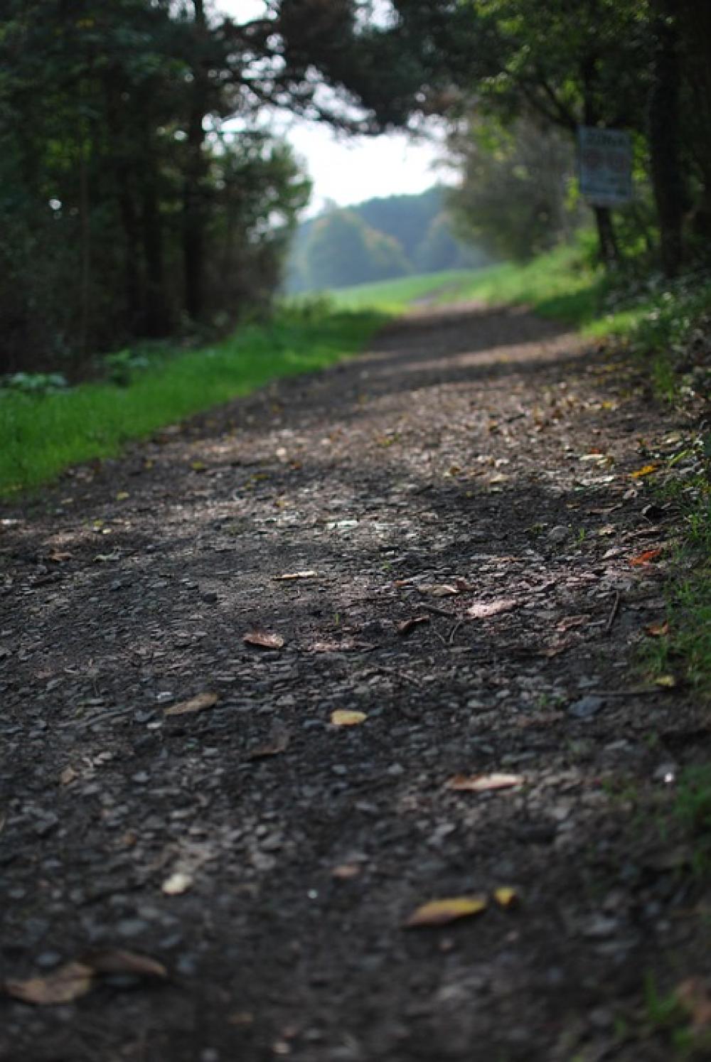 Path Nature Landscape Path Nature Landscape