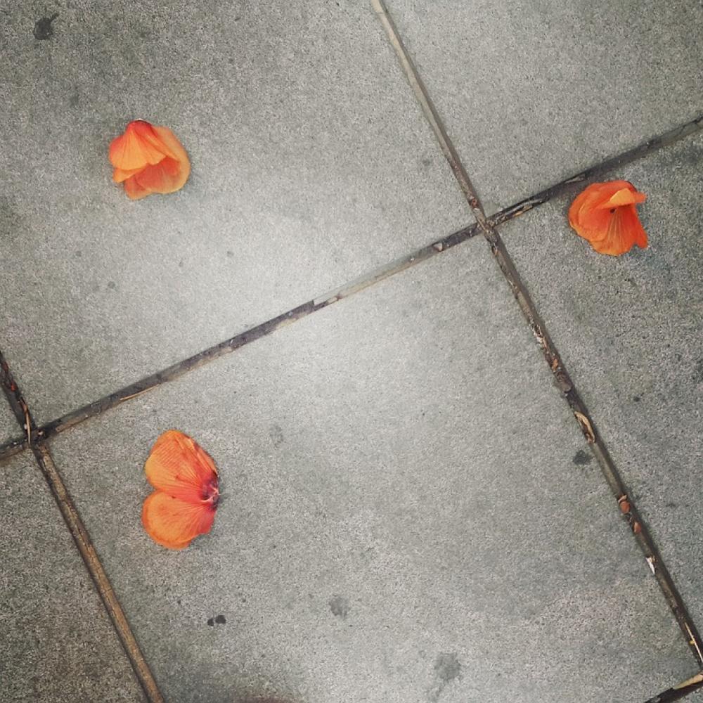 Pavement Tiles Autumn Leaves Golden Autumn Season Pavement Tiles Autumn Leaves Golden Autumn Season