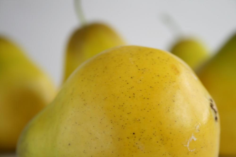 Pear Fruit Yellow Food Pear Fruit Yellow Food
