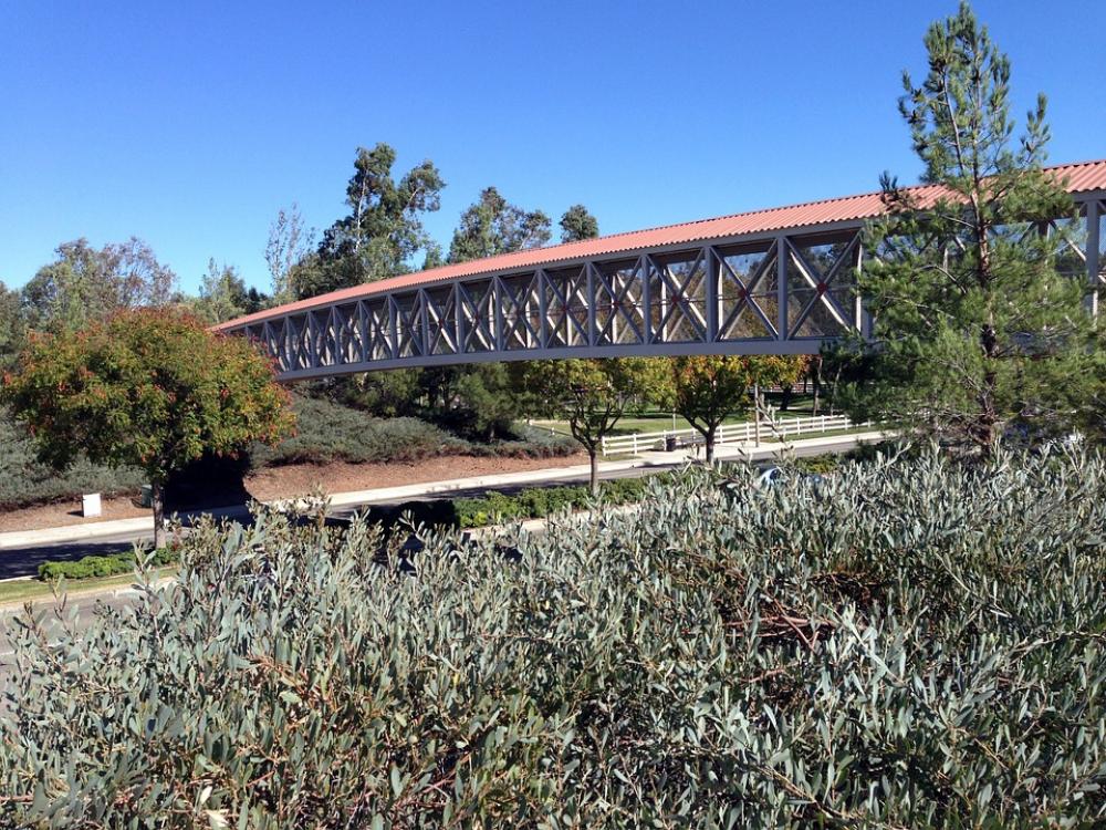 Pedestrian-Bridge Foliage Shrubs Bushes Blue Sky Pedestrian-Bridge Foliage Shrubs Bushes Blue Sky