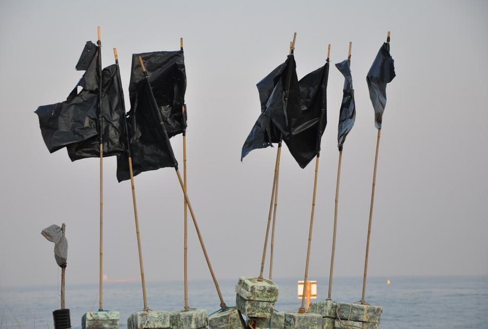 Pennants Sea Black Pennants Sea Black