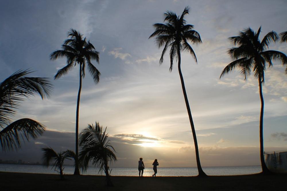People Palms Sunset Tropical Silhouette Sky Sun People Palms Sunset Tropical Silhouette Sky Sun