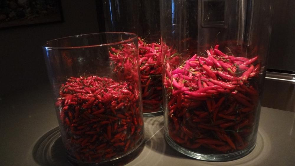 Pepper Red Pepper Seasoning Pepper Red Pepper Seasoning