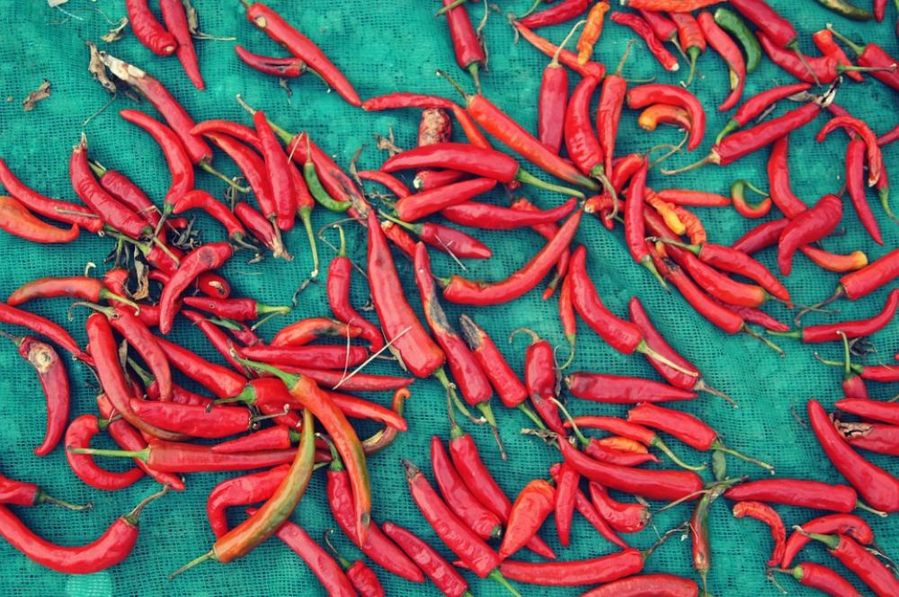 Pepper Vegetables Nature Red Pepper Vegetables Nature Red