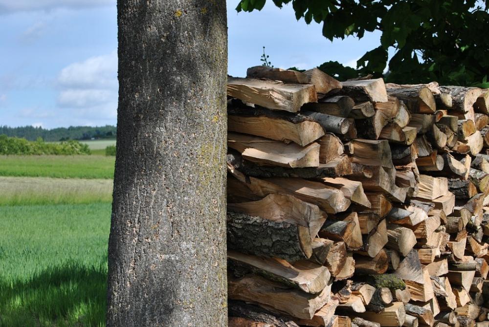 Pile Of Wood Wood Storage Stack Lumber Sawn Pile Of Wood Wood Storage Stack Lumber Sawn