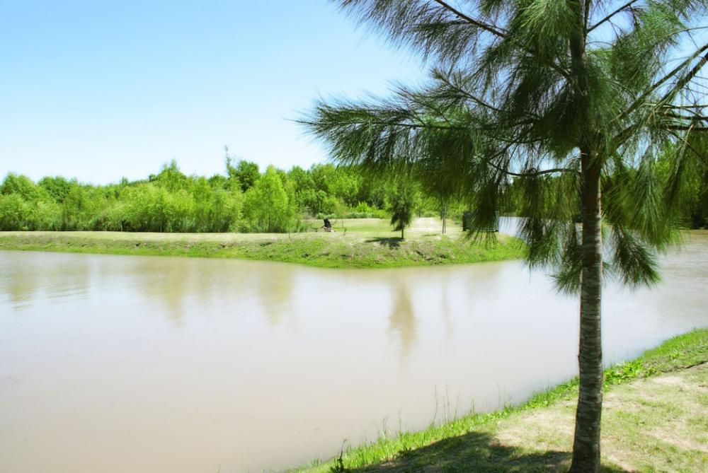 Pine Water Plant Pond River Tree Landscape Pine Water Plant Pond River Tree Landscape