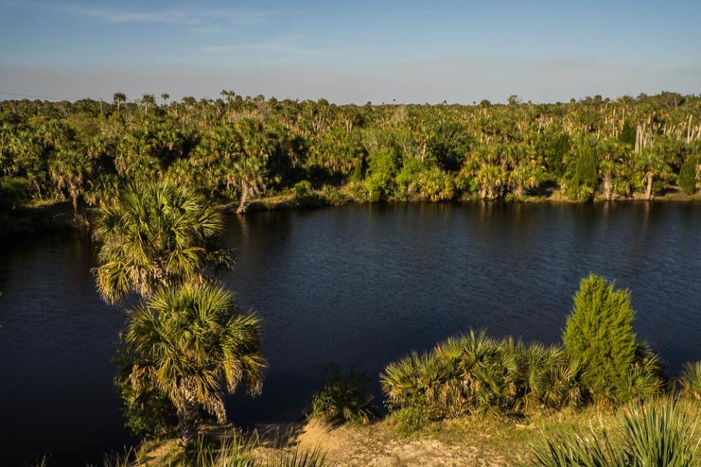 Pine Island Water Tropical Nature Exotic Tropics Pine Island Water Tropical Nature Exotic Tropics