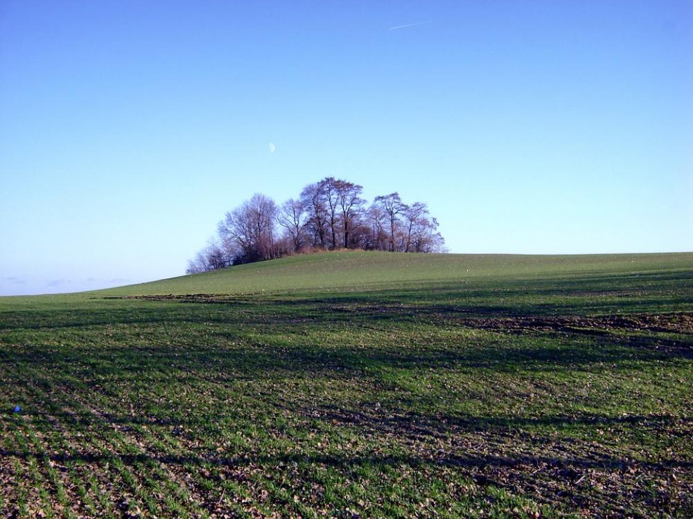 Poland Landscape Scenic Hill Trees Sky Clouds Poland Landscape Scenic Hill Trees Sky Clouds