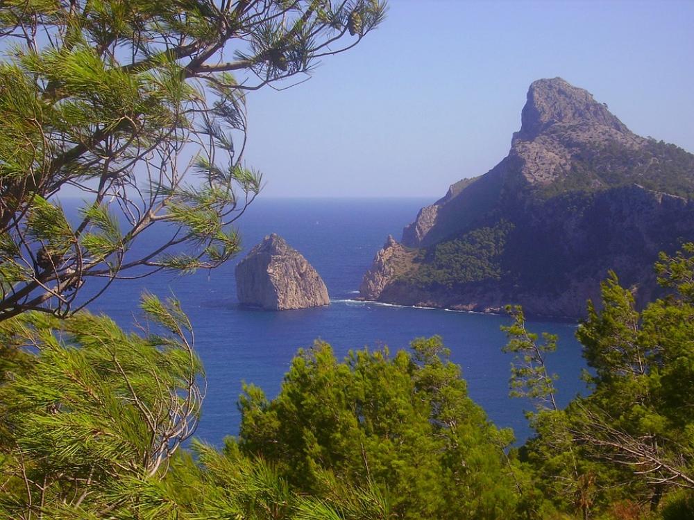 Pollenca Spain Trees Rocks Rocky Sea Ocean Water Pollenca Spain Trees Rocks Rocky Sea Ocean Water