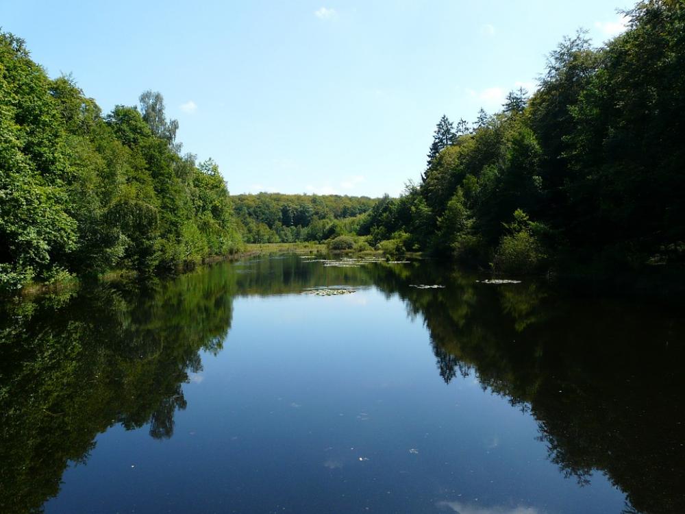 Pond Water Forest Trees Vosges Landscape Nature Pond Water Forest Trees Vosges Landscape Nature