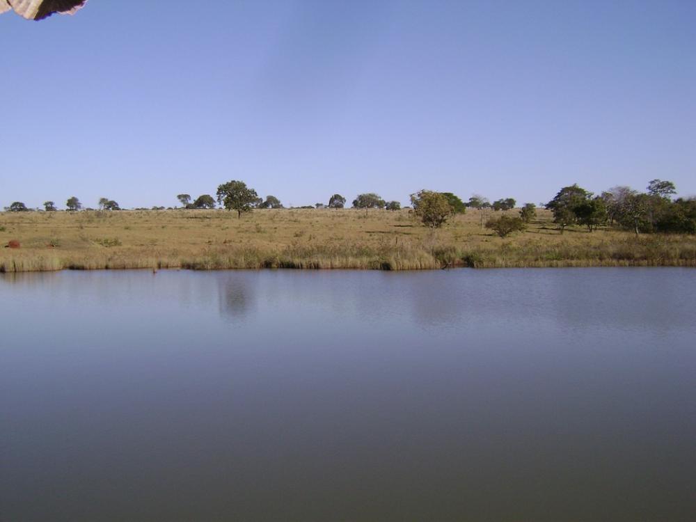 Pond Brazil Blue Lagoon Water Landscape Pond Brazil Blue Lagoon Water Landscape