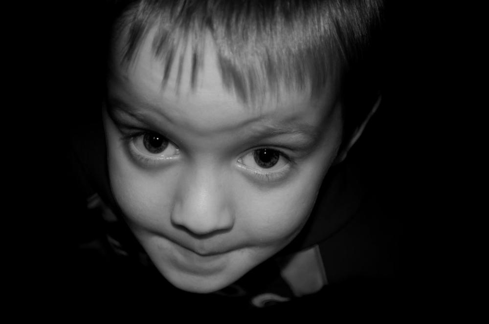 Portrait Boy Child Look People Young Background Portrait Boy Child Look People Young Background