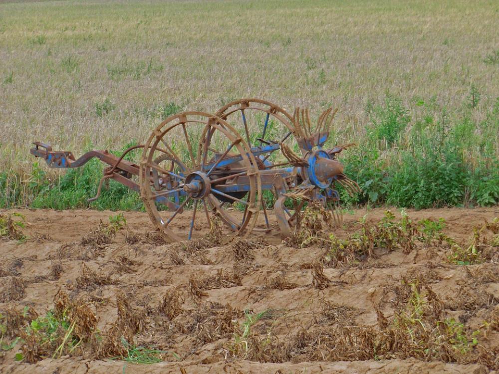 Potatoes Kartoffelernter Vegetables Agriculture Potatoes Kartoffelernter Vegetables Agriculture